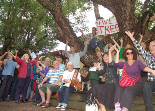 Save our trees: Bellingen residents rally around the camphor laurels in Church Street. Save our trees: Bellingen residents rally around the camphor laurels in Church Street.